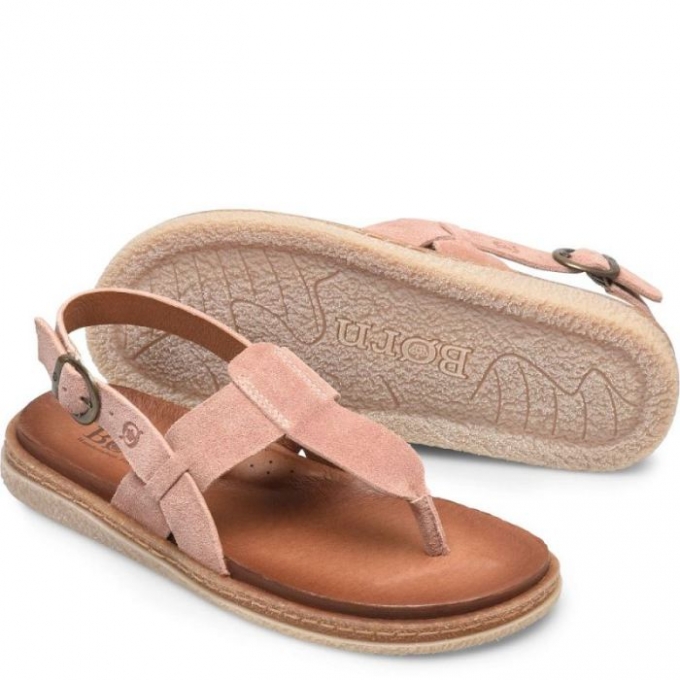 Women's Born Cammie Sandals - Blush Malve Suede (Pink)