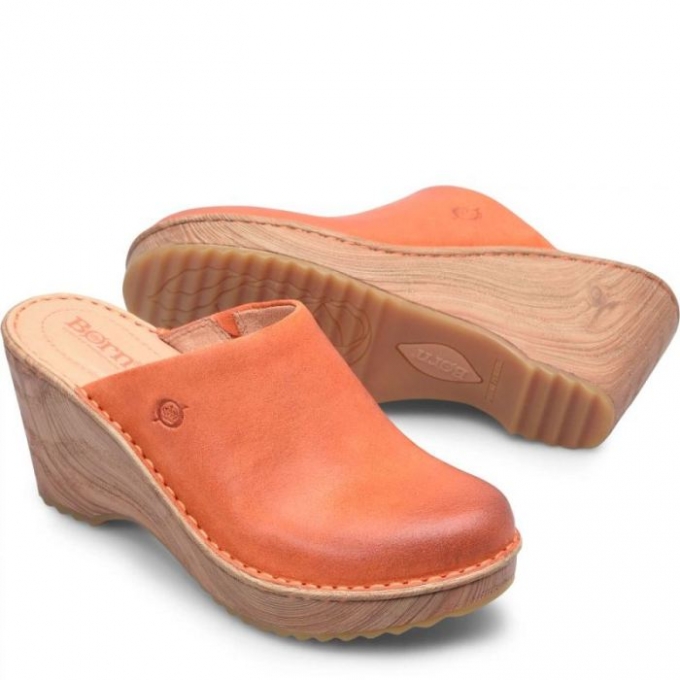 Women's Born Natalie Clogs - Albicocca Distressed (Orange)