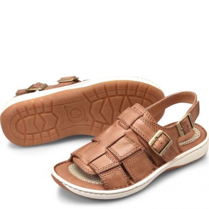 Men's Born Miguel Sandals - Terra (Brown)