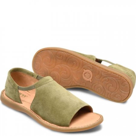 Women's Born Cove Modern Sandals - Kiwi Suede (Green)